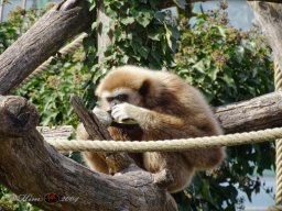 Tiergarten Schönbrunn am 12.03.2025